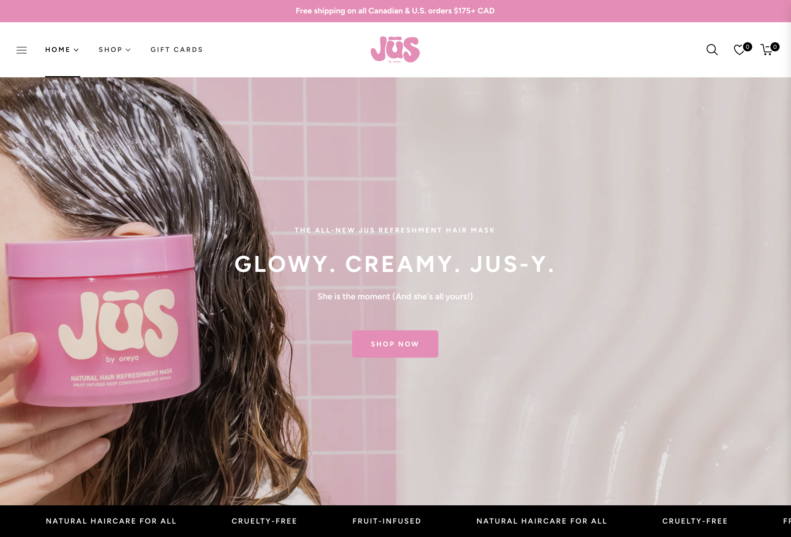 Shopify brand design